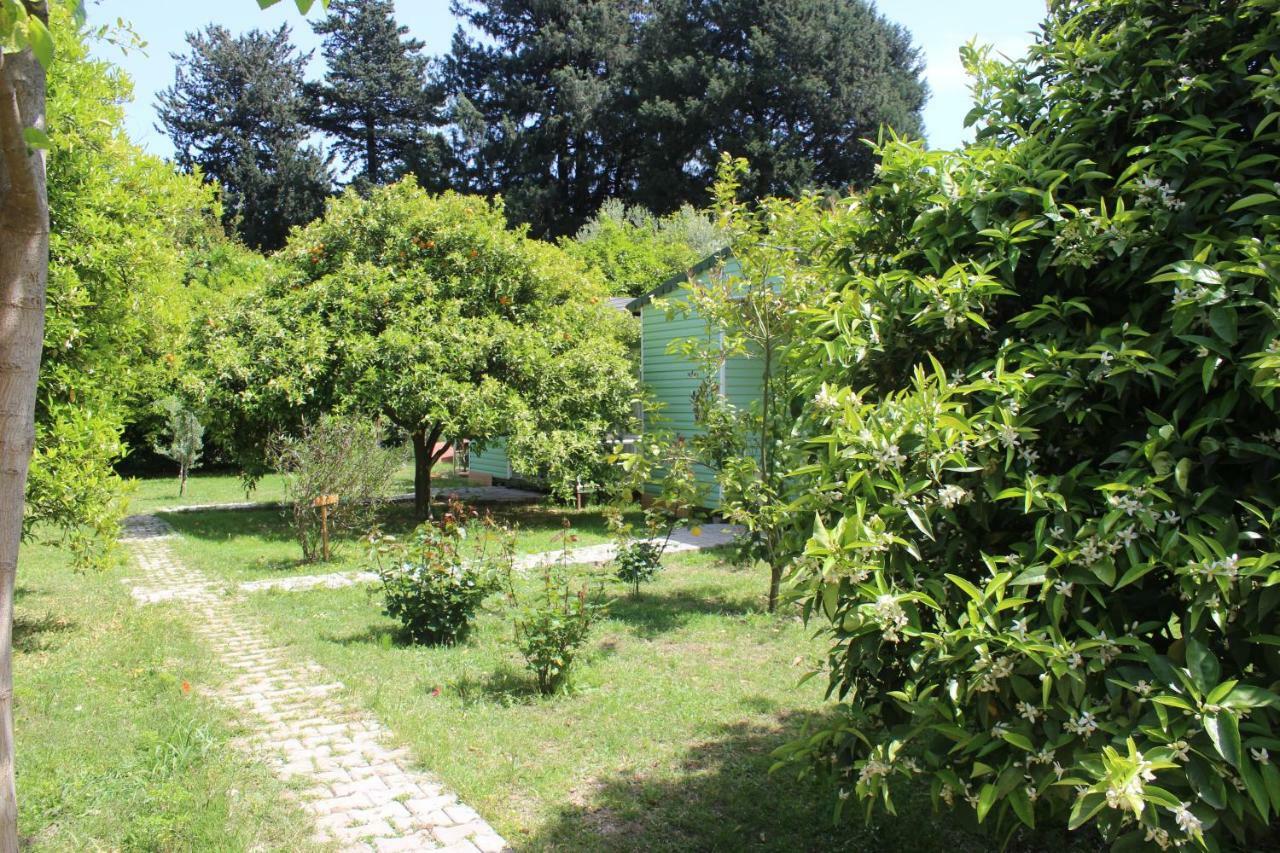 Sakli Bahce Pension Çıralı エクステリア 写真