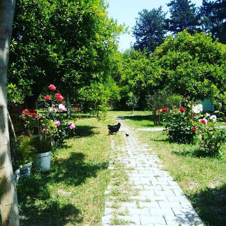 Sakli Bahce Pension Çıralı エクステリア 写真